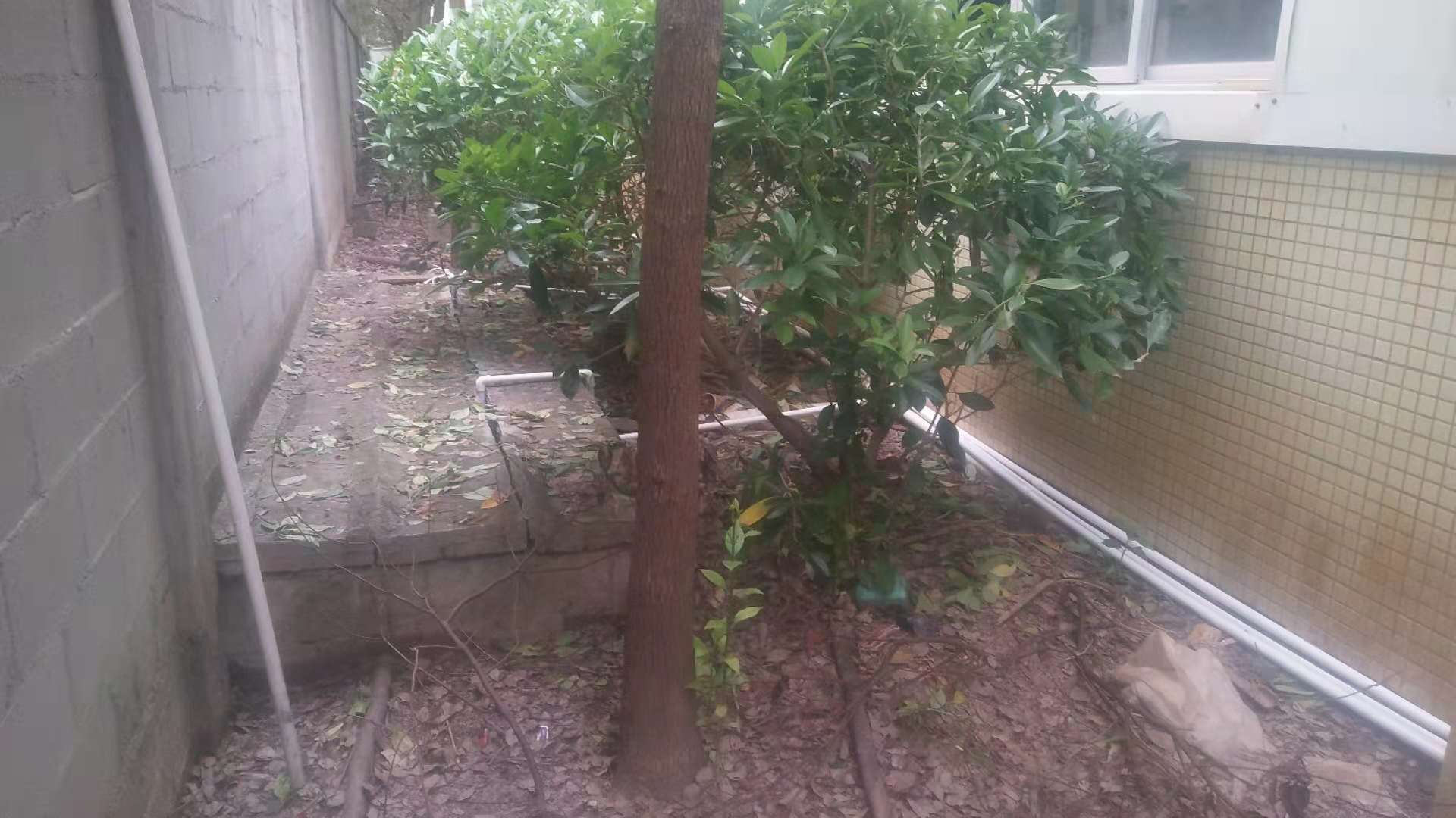 1544217088373048.jpg 1544217088373048.jpg